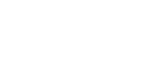 American Micronic
